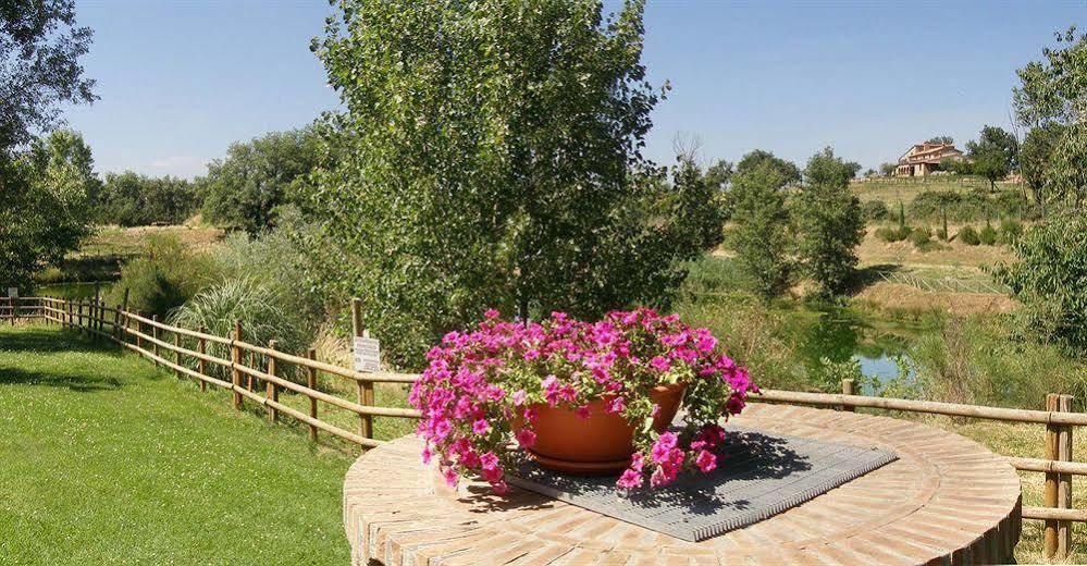 Terre Gialle - La Val D'Orcia Nascosta Castel del Piano  Eksteriør billede