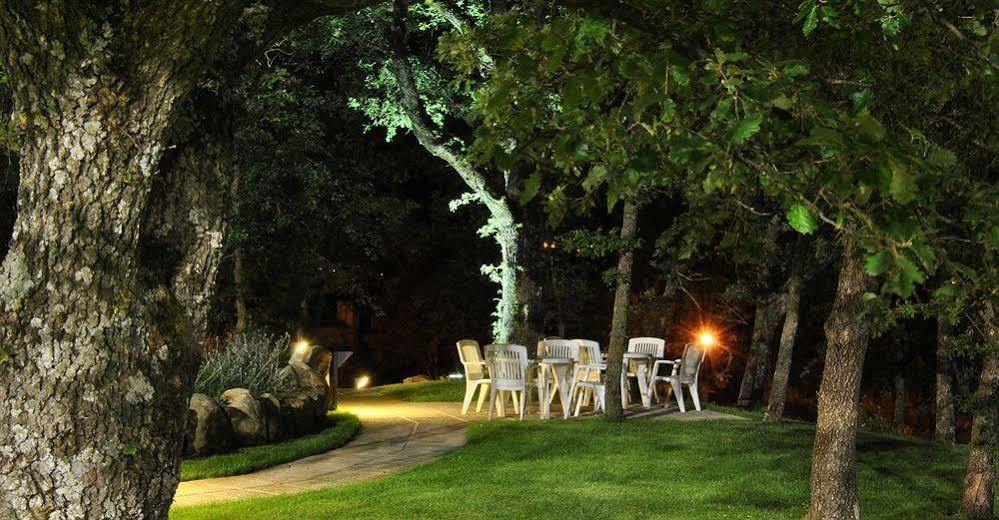 Terre Gialle - La Val D'Orcia Nascosta Castel del Piano  Eksteriør billede